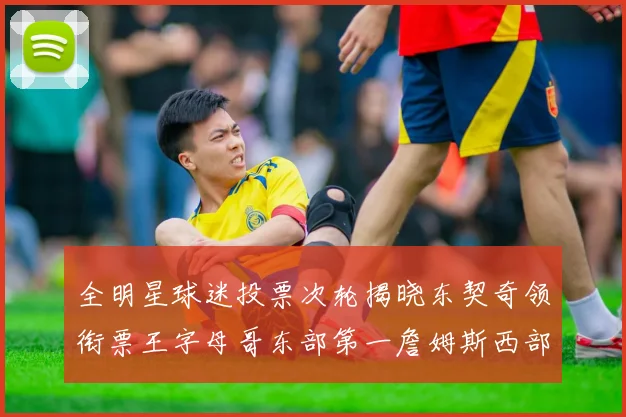 全明星球迷投票次轮揭晓东契奇领衔票王字母哥东部第一詹姆斯西部第八