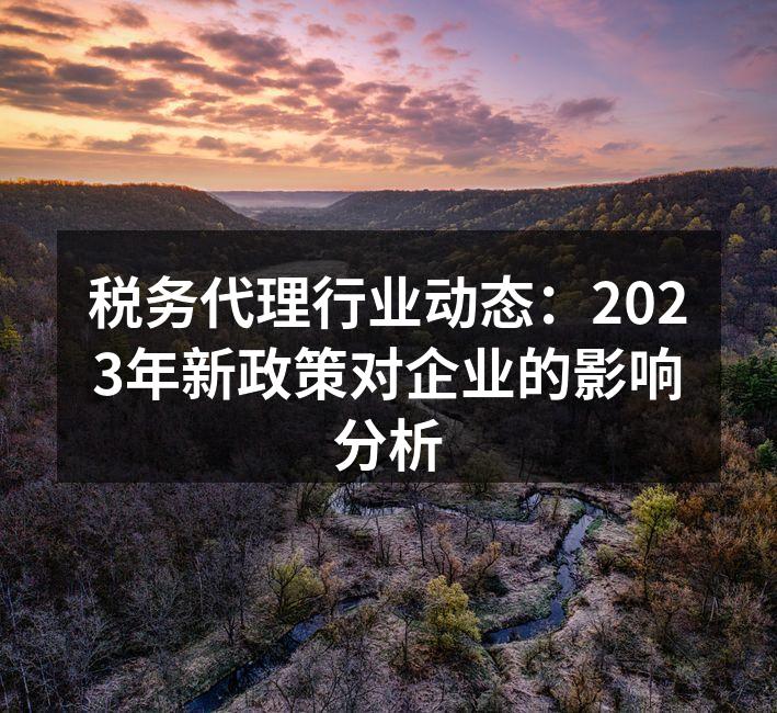 税务代理行业动态：2023年新政策对企业的影响分析
