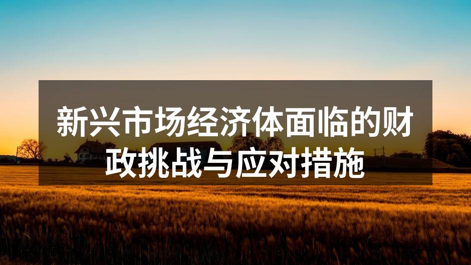 新兴市场财政挑战分析图