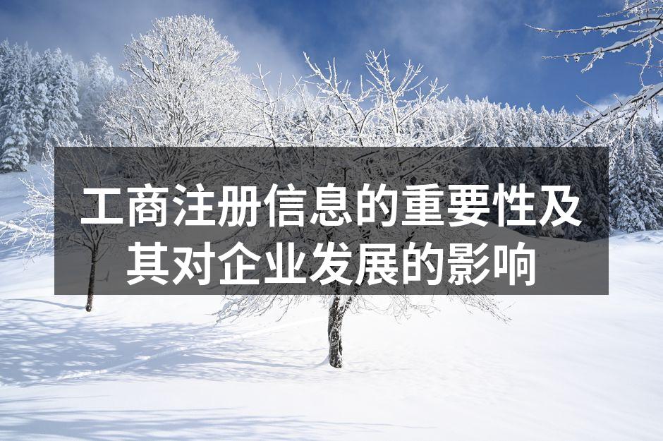 工商注册信息的重要性及其对企业发展的影响