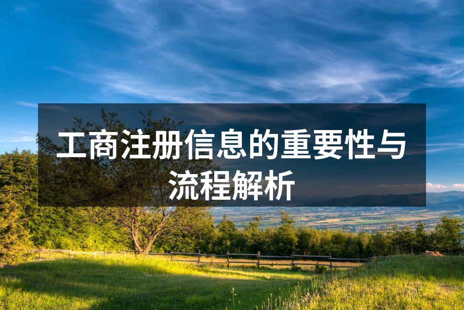 工商注册流程图示