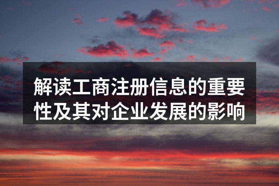 工商注册信息示例