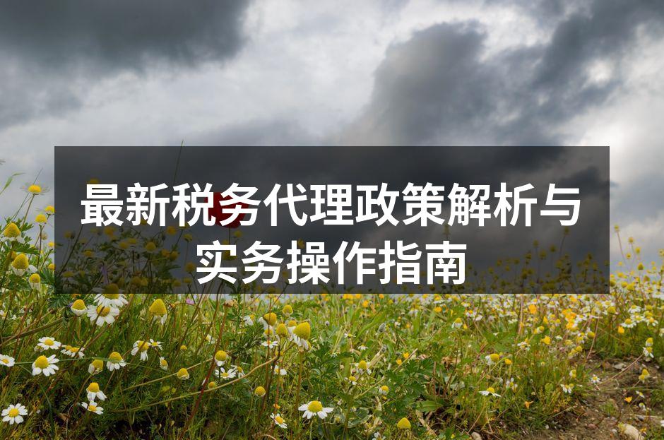 最新税务代理政策解析与实务操作指南