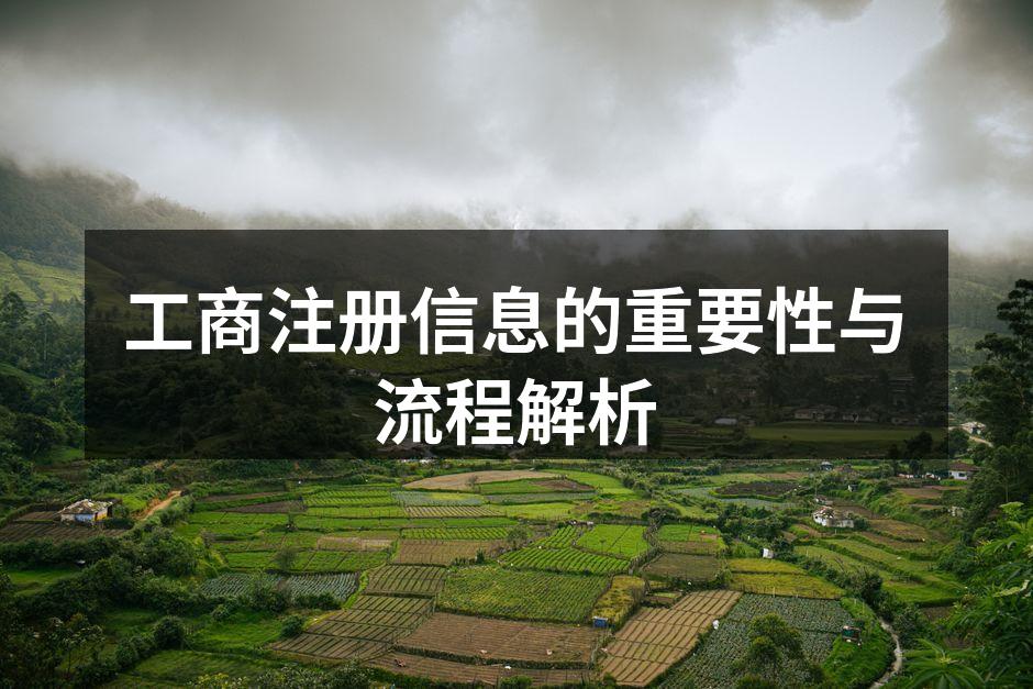 工商注册信息的重要性与流程解析